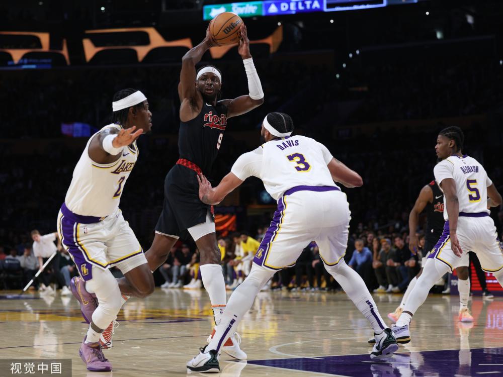 可能的变动 可能的变动